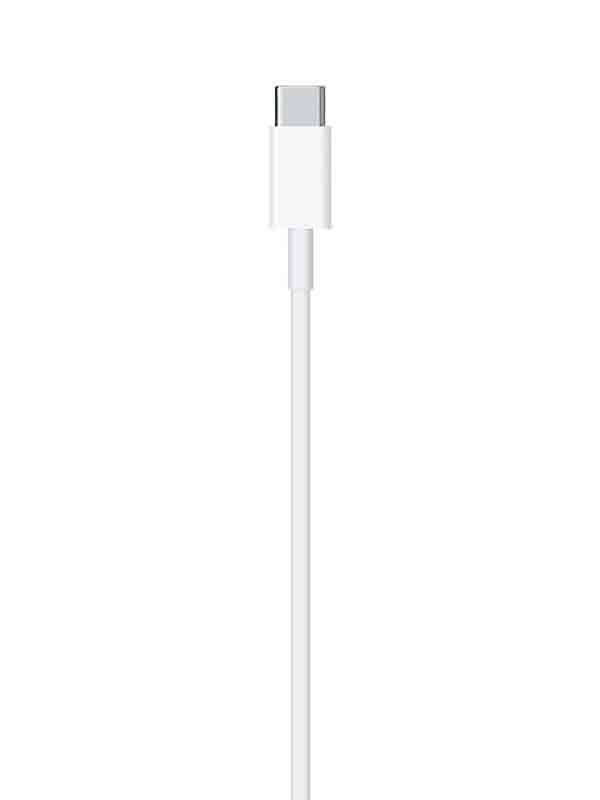 Buy Apple USBC to Lightning Cable CTENS UAE